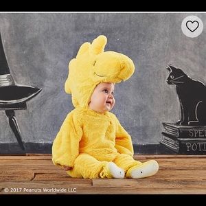 Pottery Barn Baby Woodstock Costume